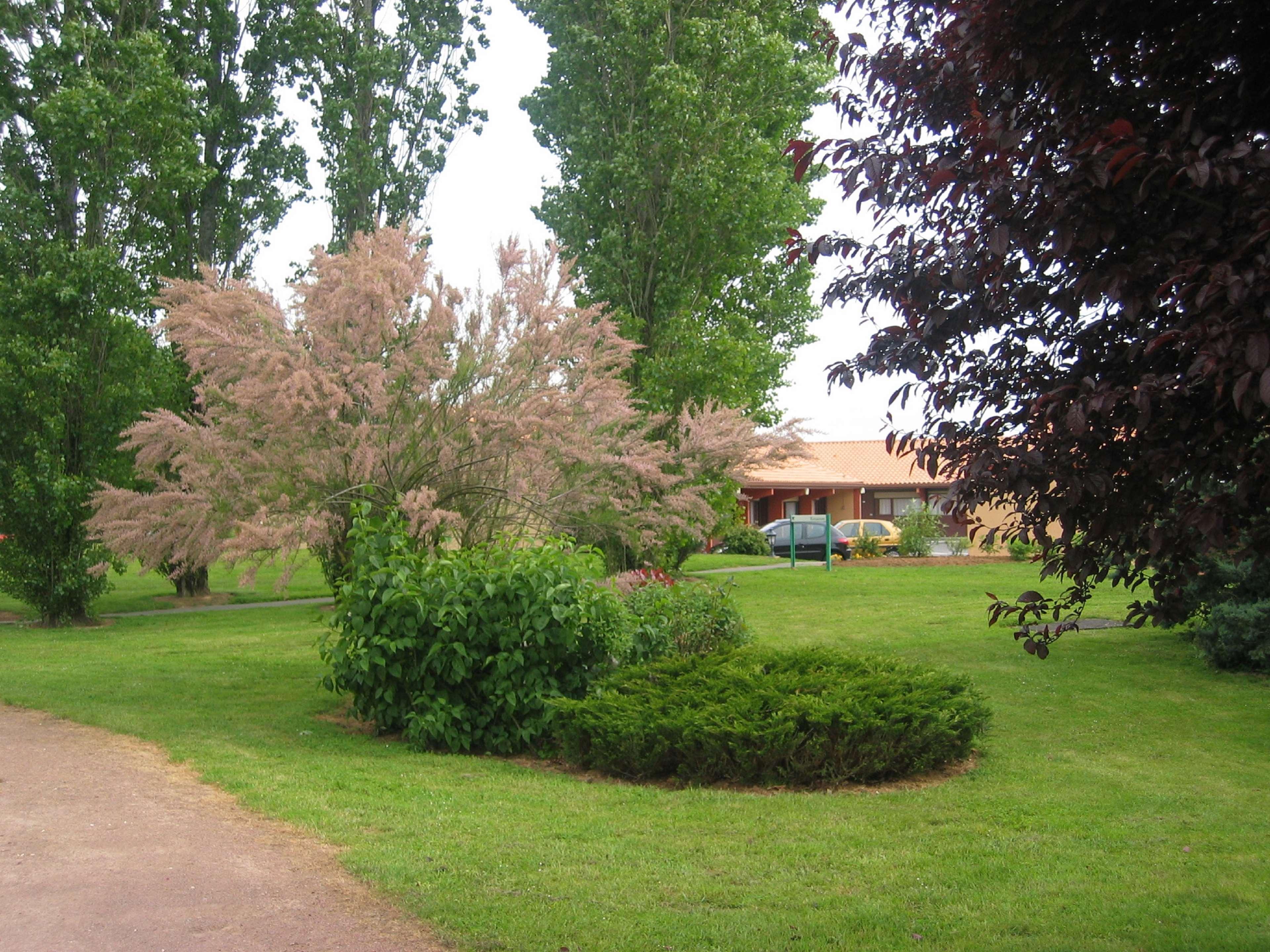 Kyriad Niort - La Creche Exterior photo